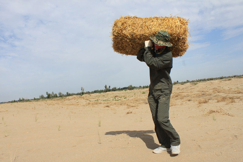 �F(tu��n)�T���i�������ݣ����ϳ����ģ����������؟(z��)����