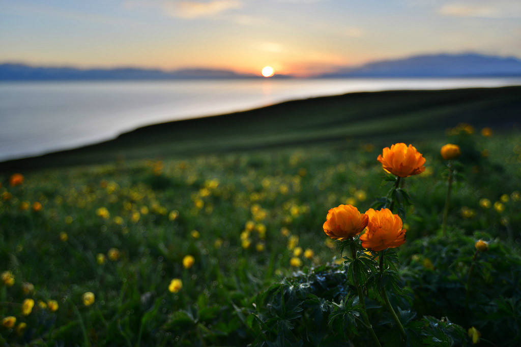 ���(hu��)�����l(xi��ng)�ĸ����