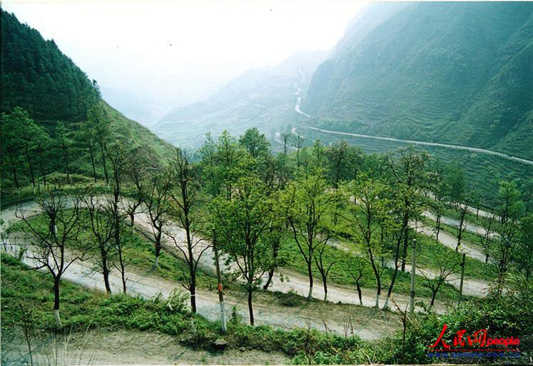 ��¡��24���ա�֮������ꐁ���?j��n)zӰ��