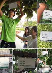 �K���r(n��ng)�W(xu��)Ժ�O(sh��)ӋУ�@ֲ����Ƭ�������K�r(n��ng)�Gɫ���}