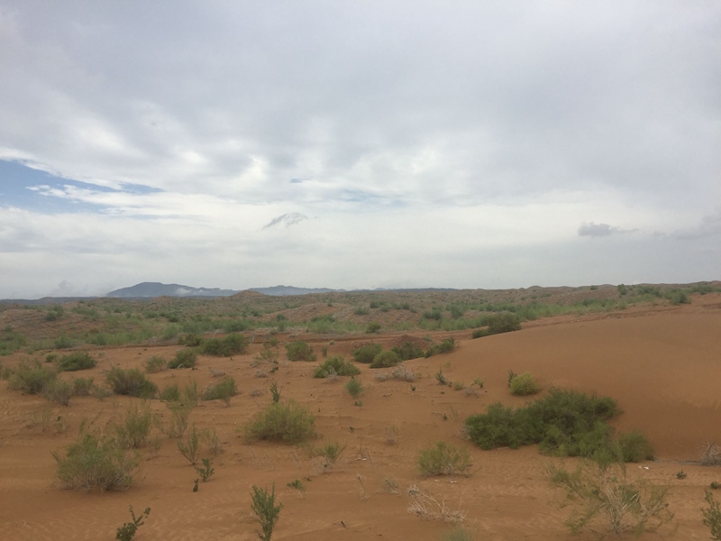 �v����ɳĮ�޾W(w��ng)������ݷ����ﲼ�M(m��n)�[�d��ɳ��ֲ����