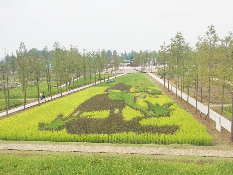 ������L�������������zӰ����־�ۣ�