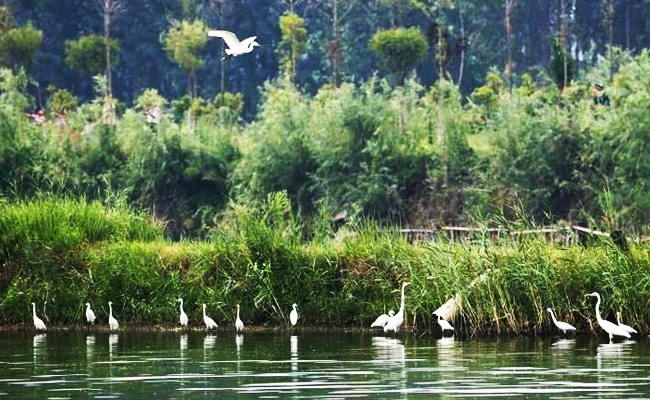 ͯԒ�ϼң���������Ԋ�����Ϙ���f����