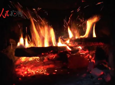 �t��t����~����������ʳ���ρ�