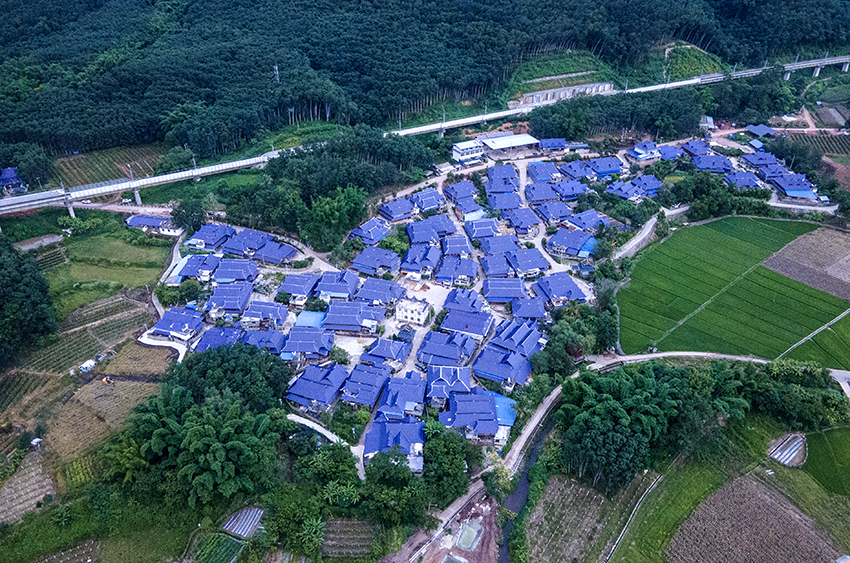 磨憨鎮(zhèn)曼莊村大龍哈小組現(xiàn)代化邊境幸福村新貌。人民網記者 符皓攝