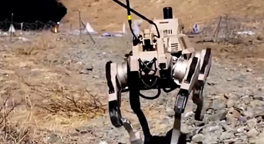 超帥！機(jī)器狗硬核出擊